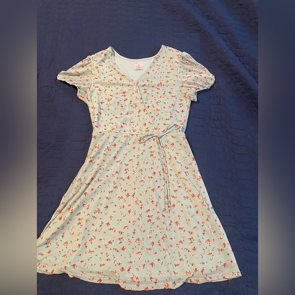 No boundaries rose dress